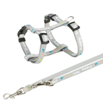 Puppy Harness + lead (15340-15345)
