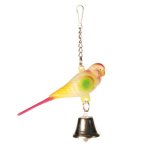 Parakeet with chain (5309)