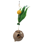 Coconut on a Sisal Rope (58920)